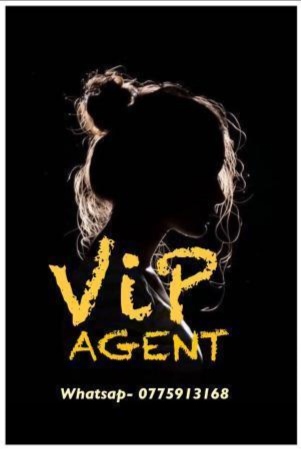 Speed and quick service 24hrs online VIP AGENT