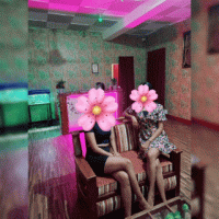 6a1db26b0f9a1suN2Xohdwl1780331115.gif