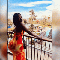 6ac45fa78079460Puvl66Jg1791254439.gif